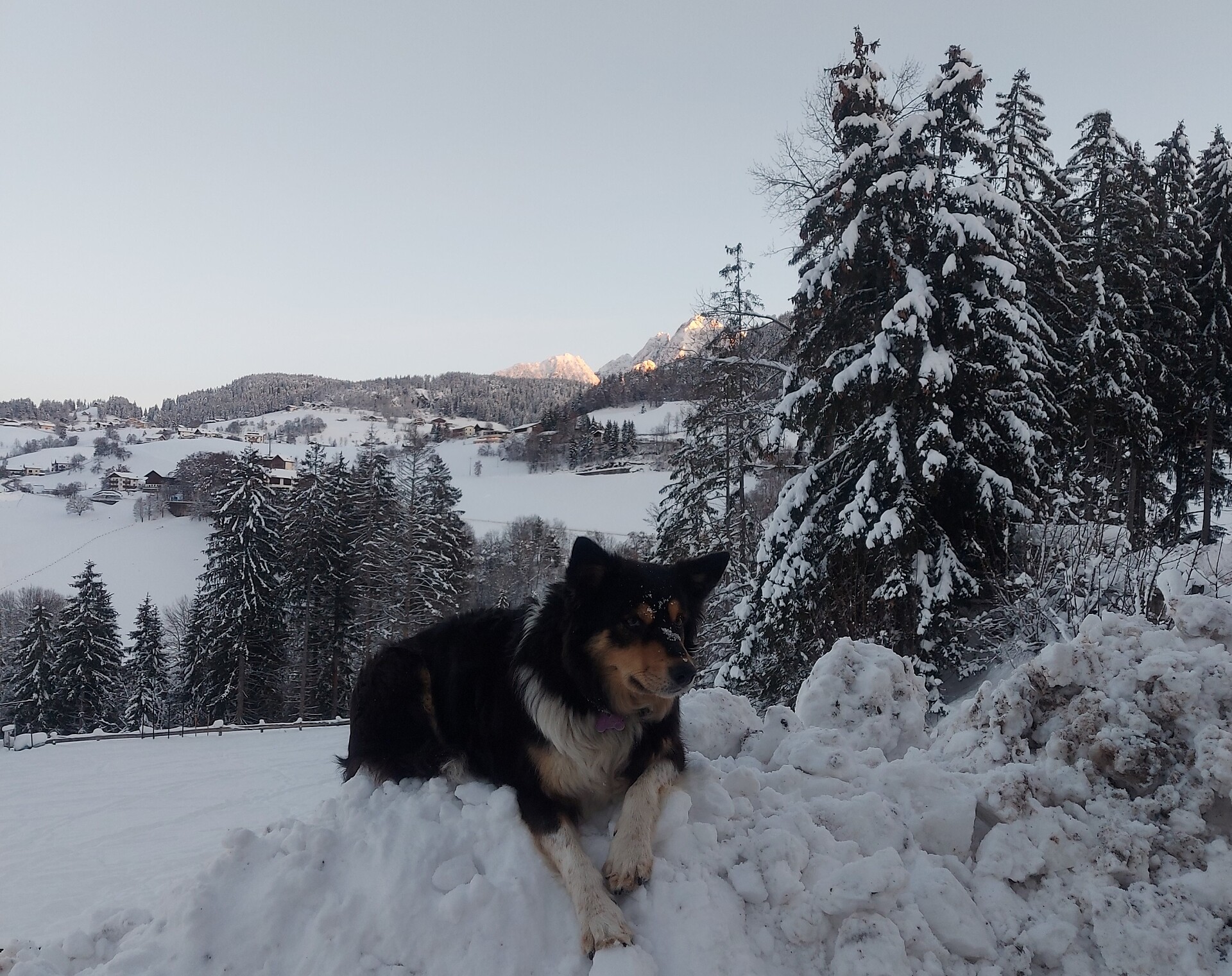 Gfreinhof ad Avelengo, Alto Adige