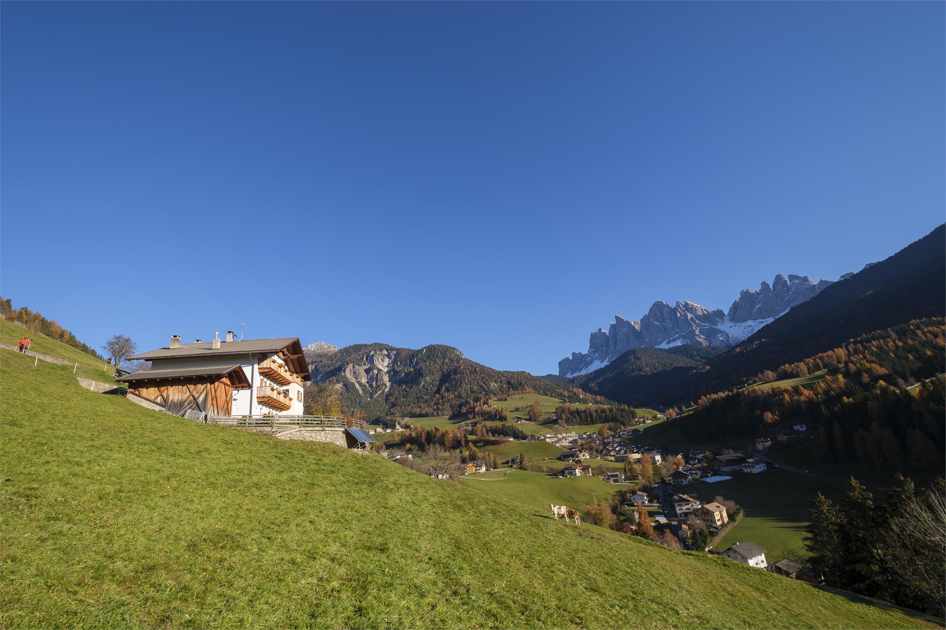 Galreidhof Funes 4 suedtirol.info