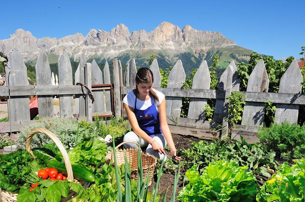 Geigerhof Welschnofen 13 suedtirol.info