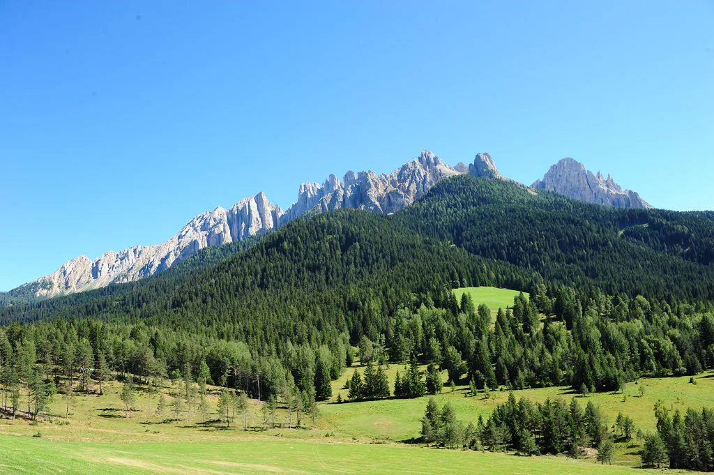 Geigerhof Nova Levante 5 suedtirol.info