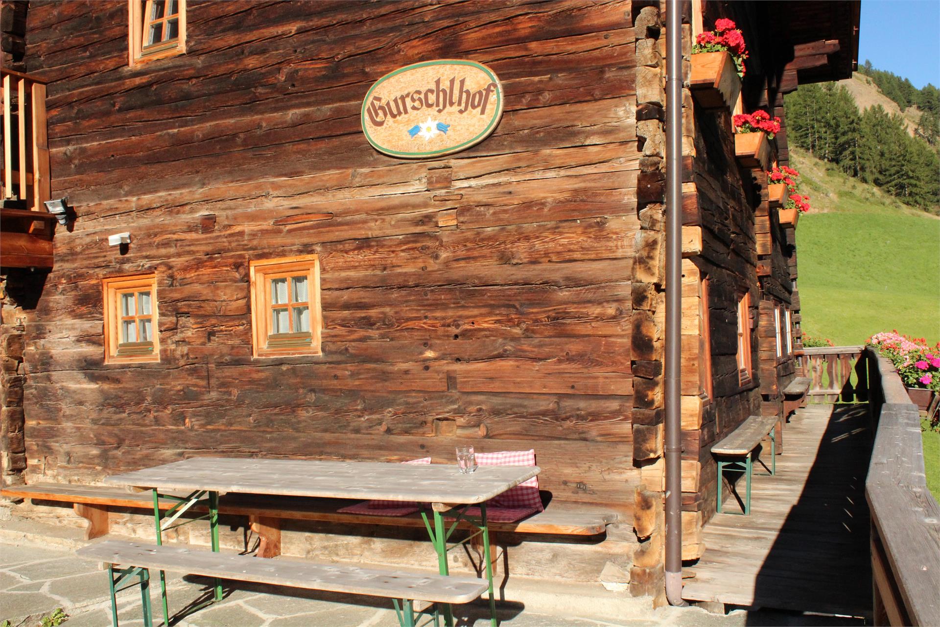 Gurschlhof Schnals 4 suedtirol.info