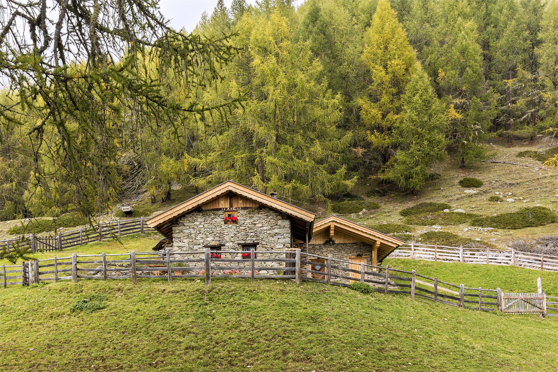 Gurschlhof Schnals 27 suedtirol.info