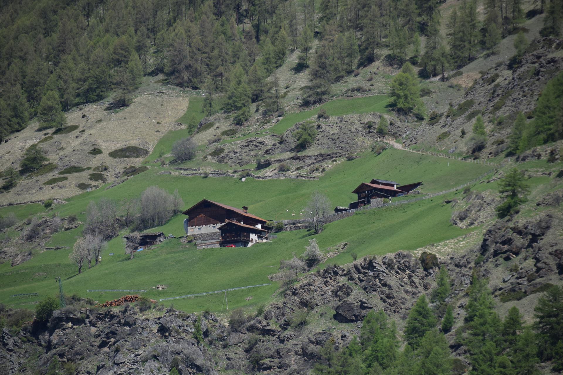 Gurschlhof Schnals 2 suedtirol.info