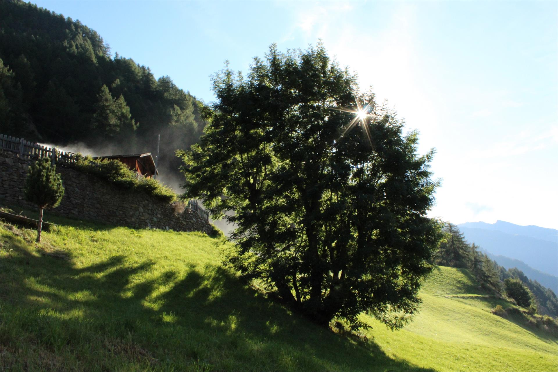 Gurschlhof Schnals 9 suedtirol.info
