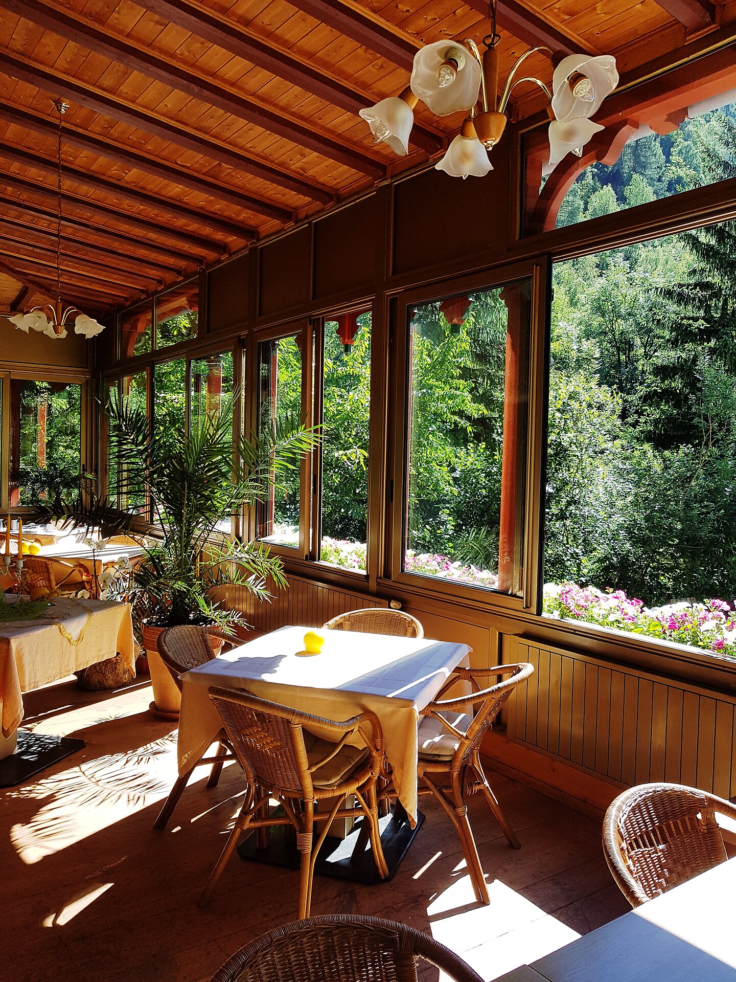 our terrace