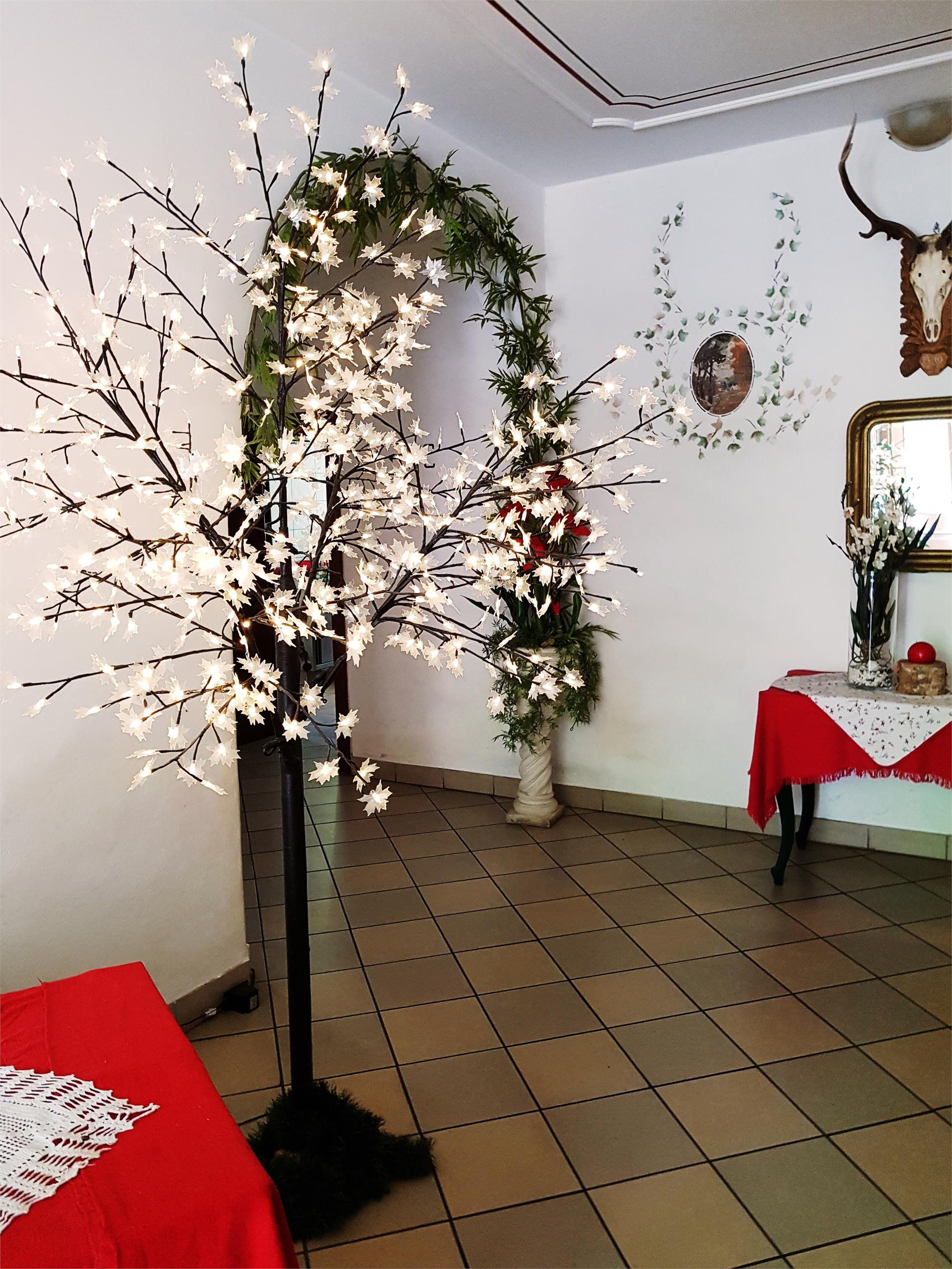 Gasthof Neuratheis Schnals/Senales 4 suedtirol.info