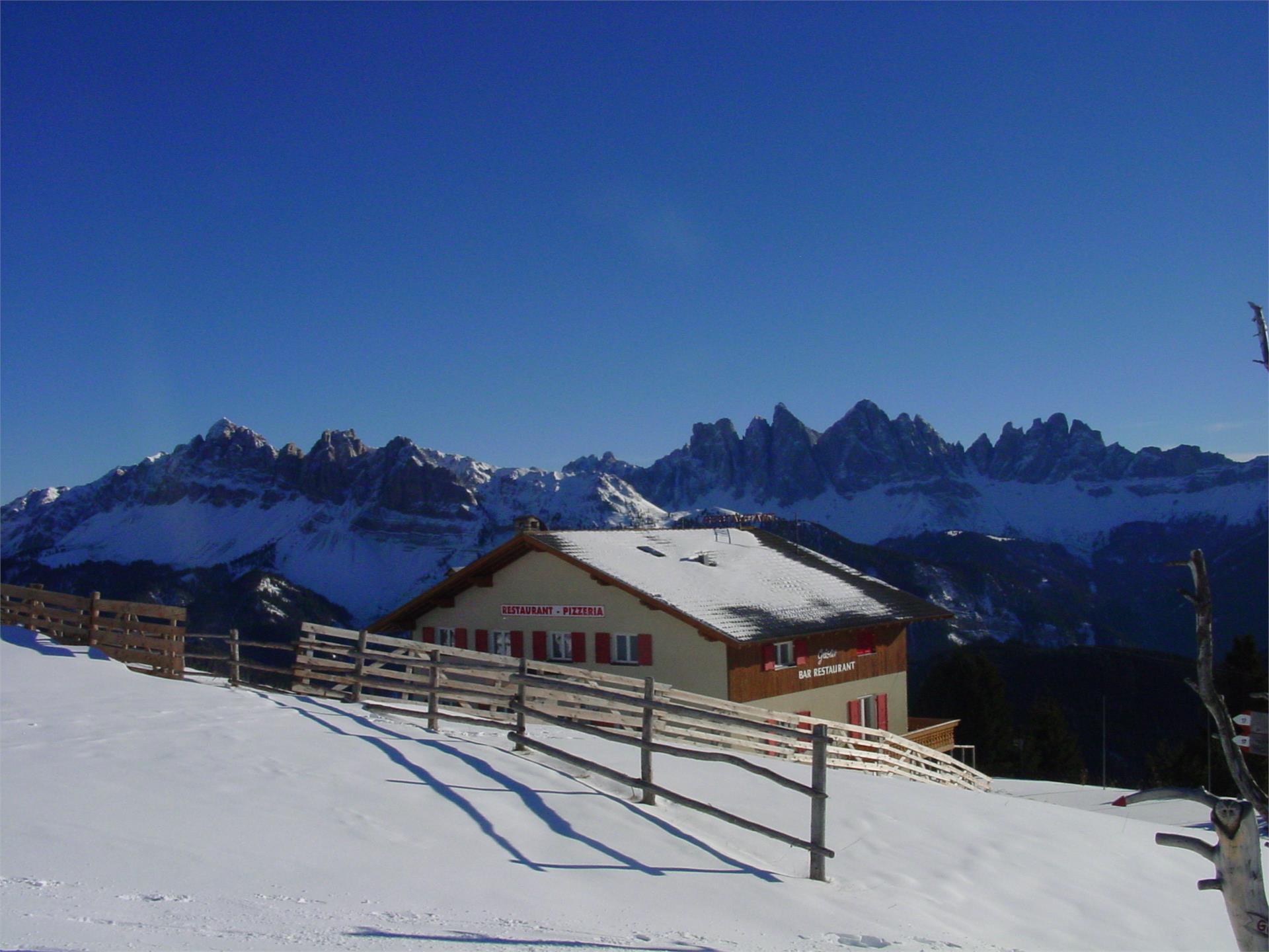 Almgasthof Geisler Brixen 6 suedtirol.info