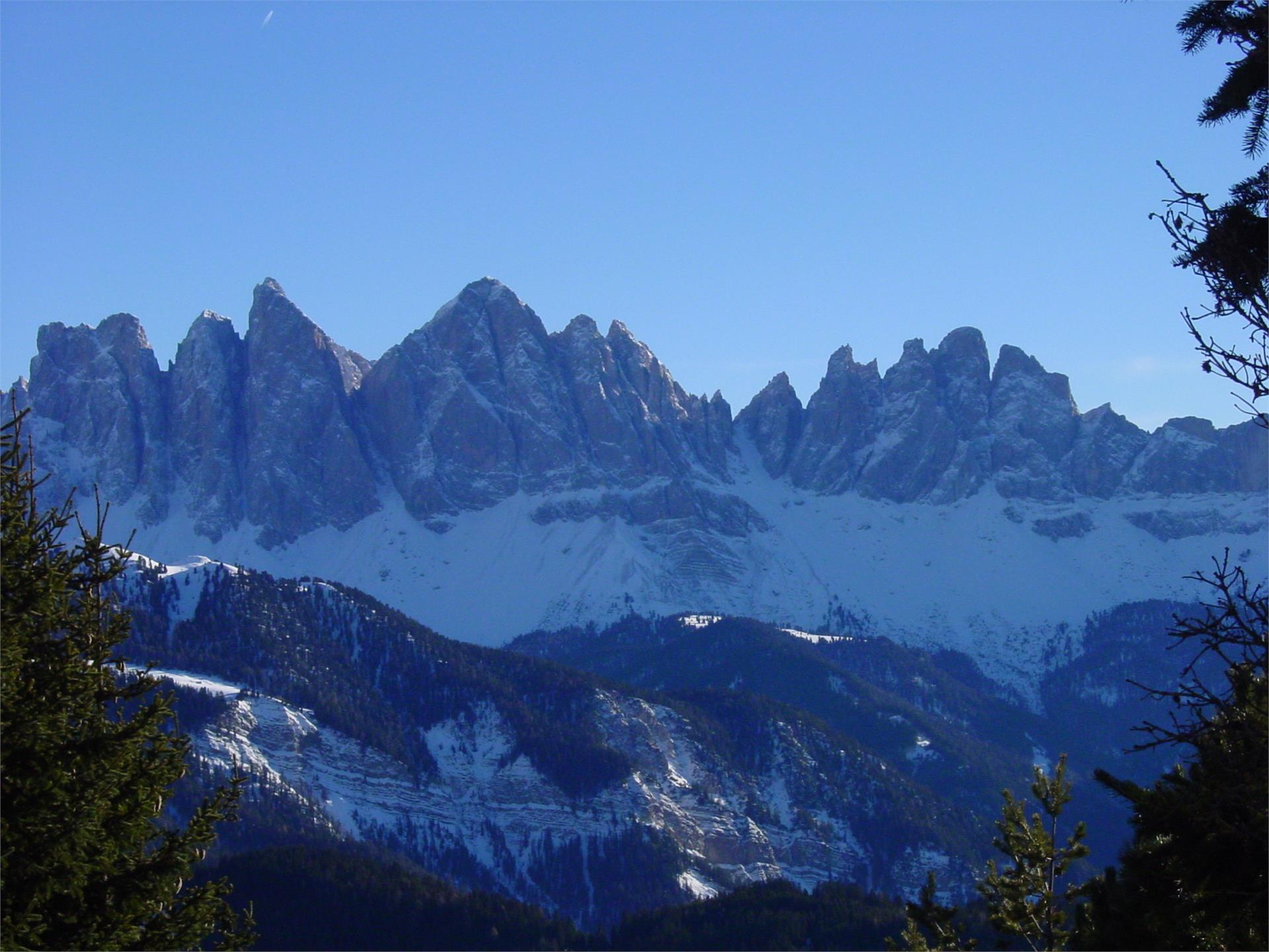 Almgasthof Geisler Brixen 4 suedtirol.info