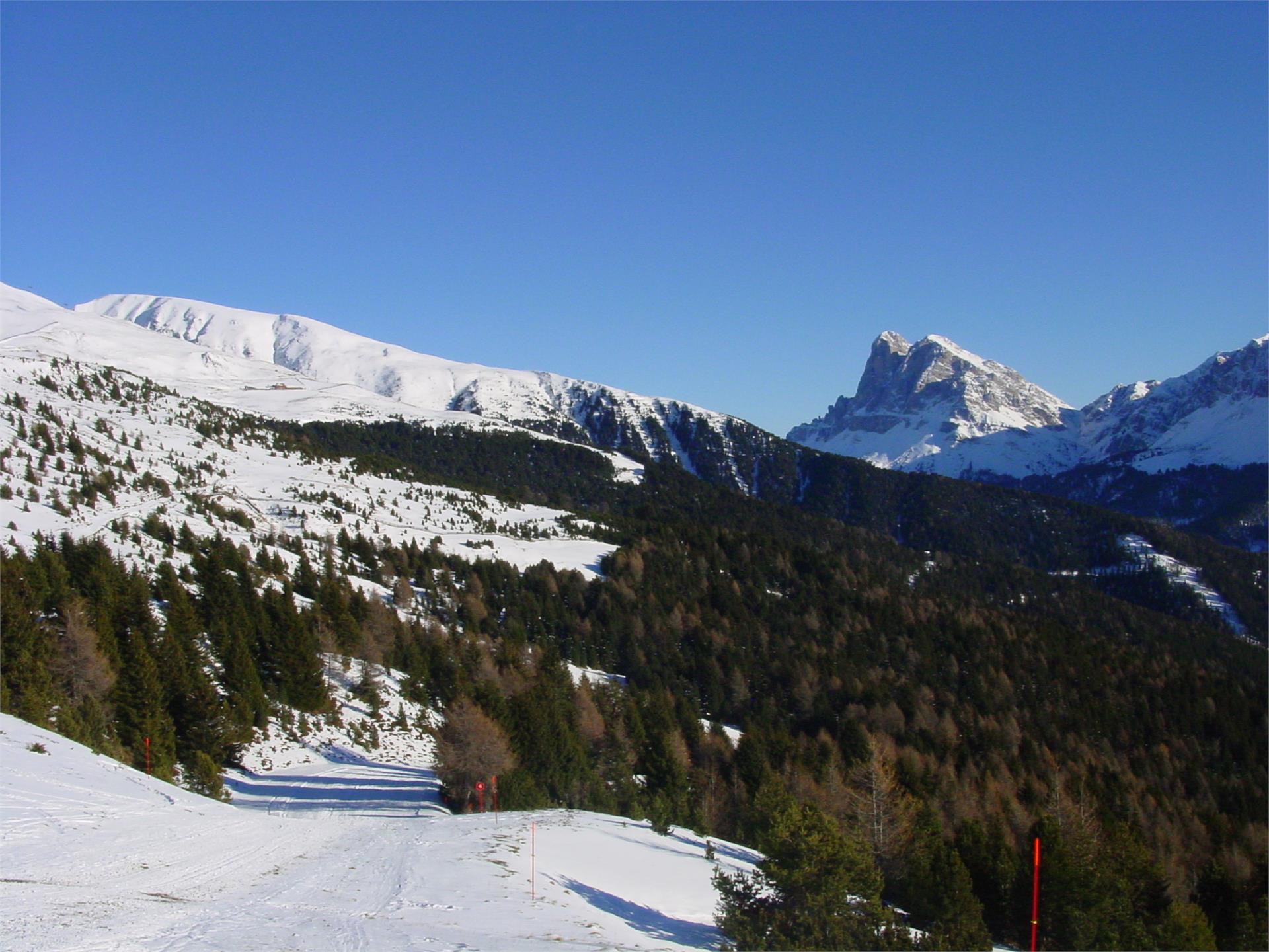 Almgasthof Geisler Brixen 5 suedtirol.info