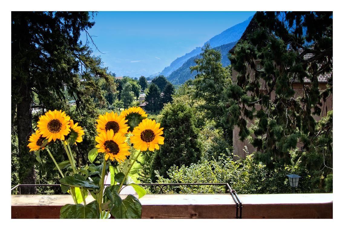 Garni-Hotel Appartamenti Taufenbrunn Parcines 3 suedtirol.info