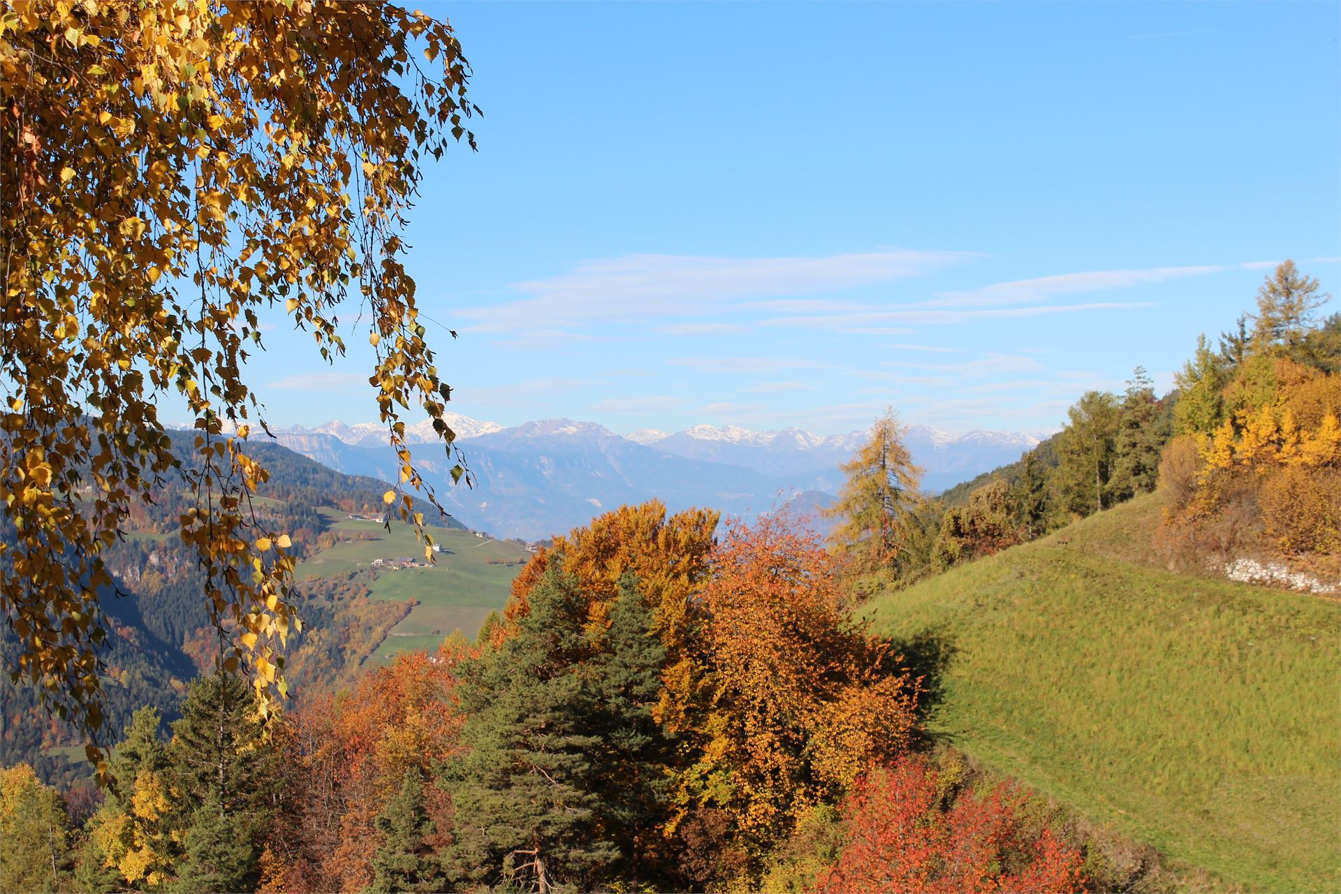 Garni Thalerhof Tires al Catinaccio 15 suedtirol.info
