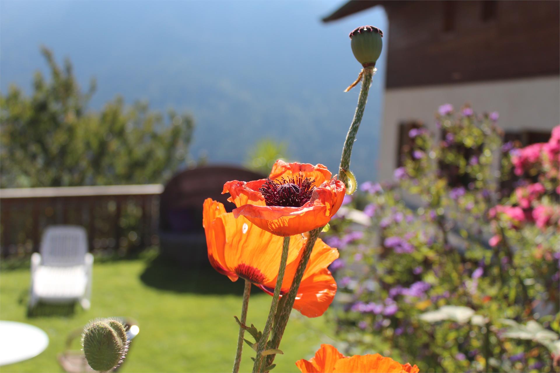 Garni Thalerhof Tires al Catinaccio 14 suedtirol.info