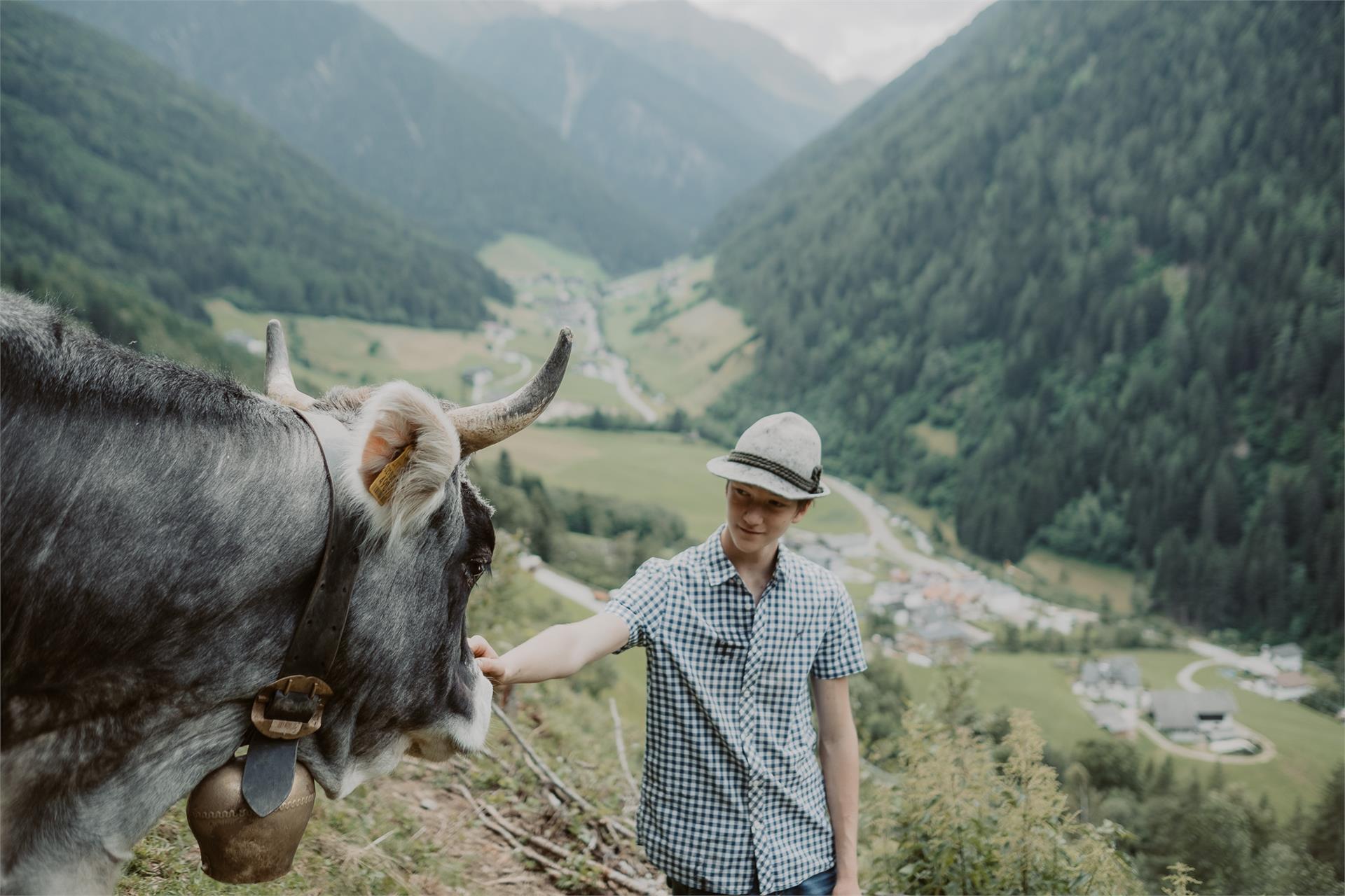 Gogererhof Racines 1 suedtirol.info