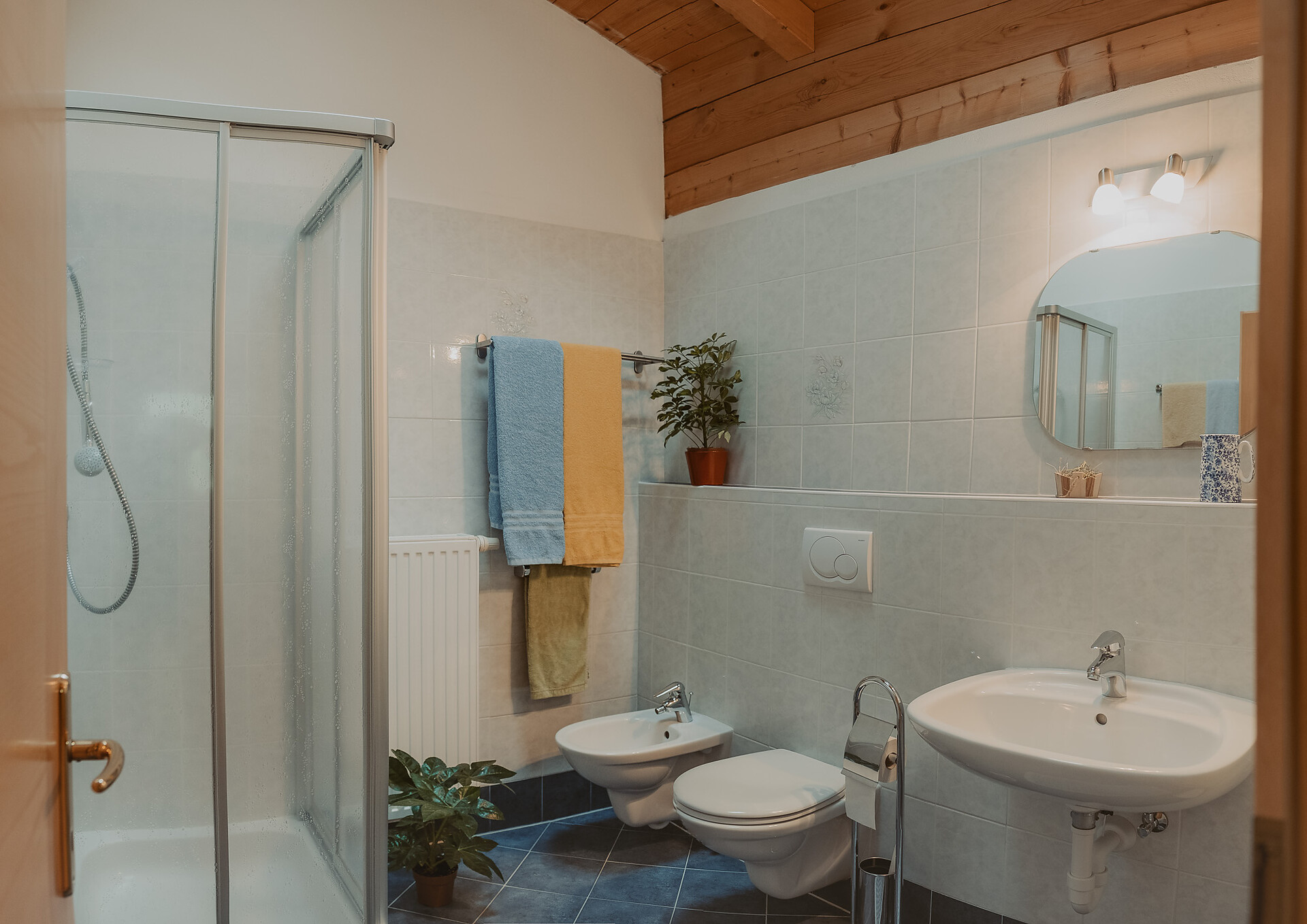 bagno con doccia, Bidet, WC