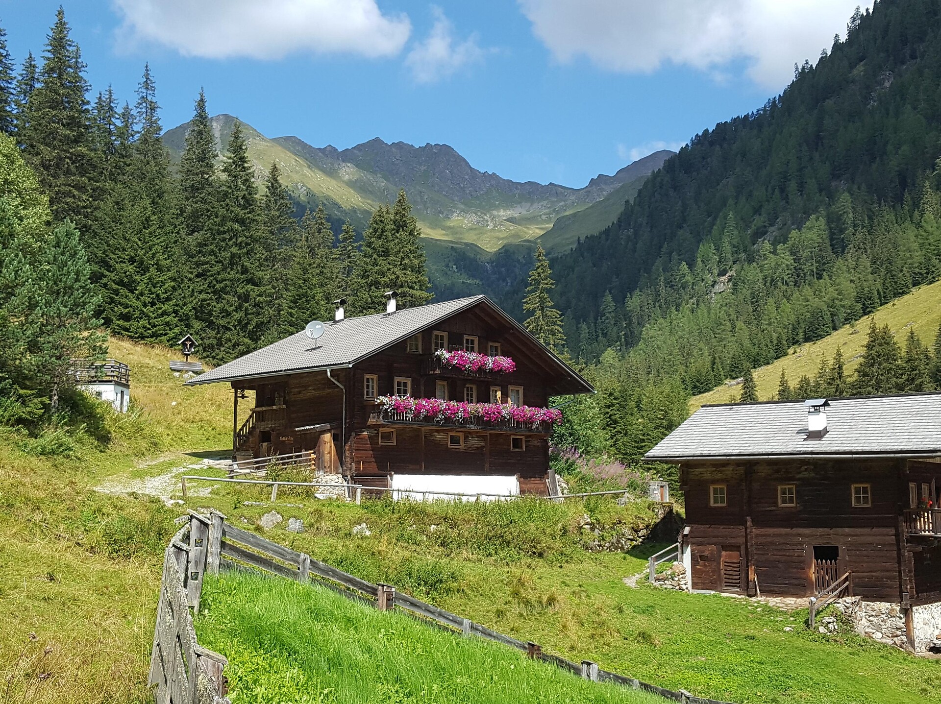 Gallfallalm
