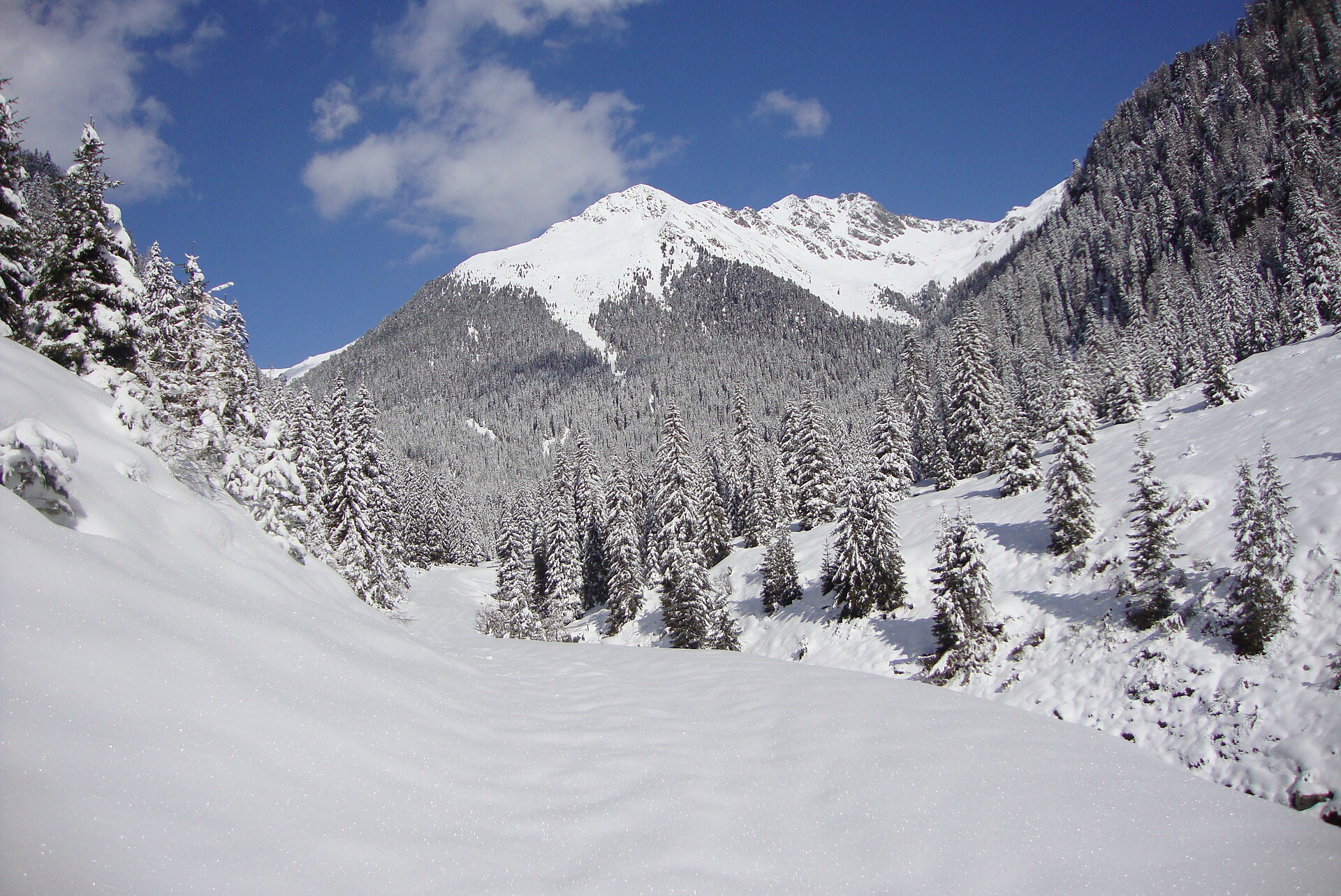 Gallfallalm