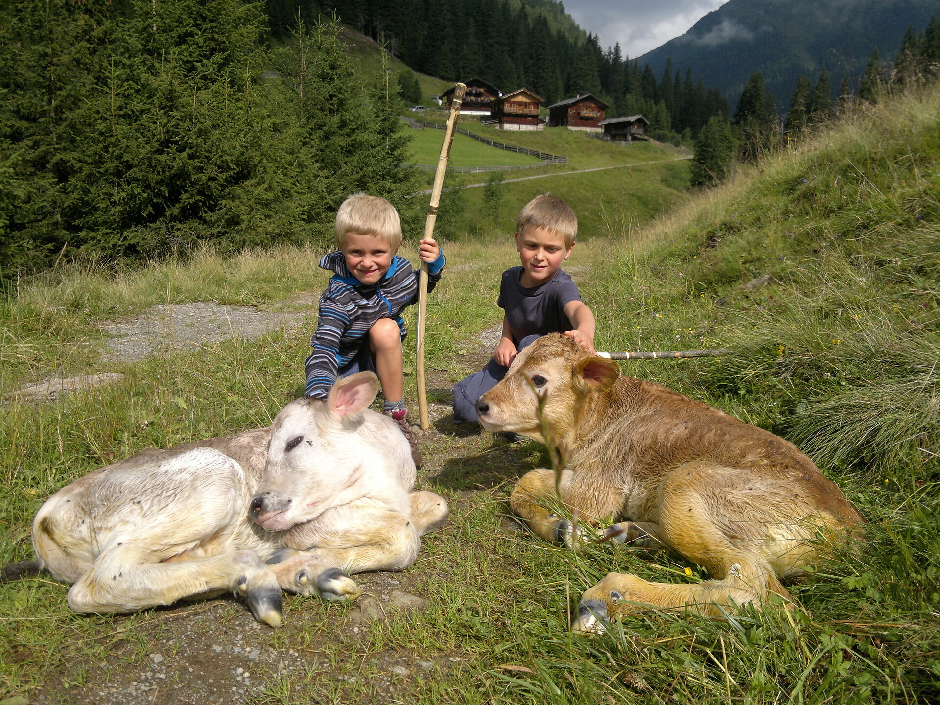 Gallfallalm