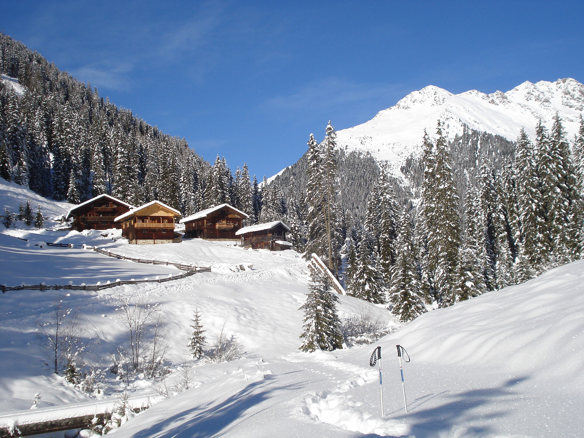 Gallfallalm