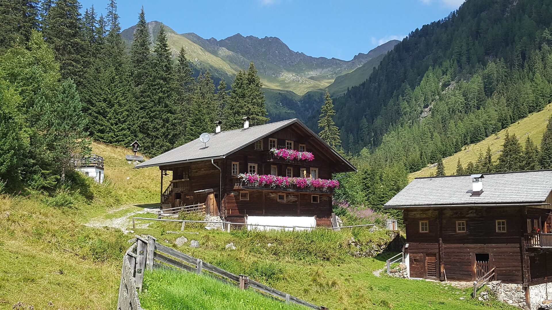 Gallfallalm