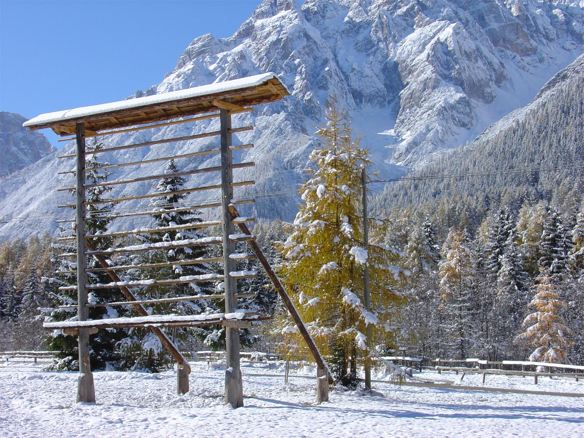 Garni Tschurtschenthaler Sexten 12 suedtirol.info