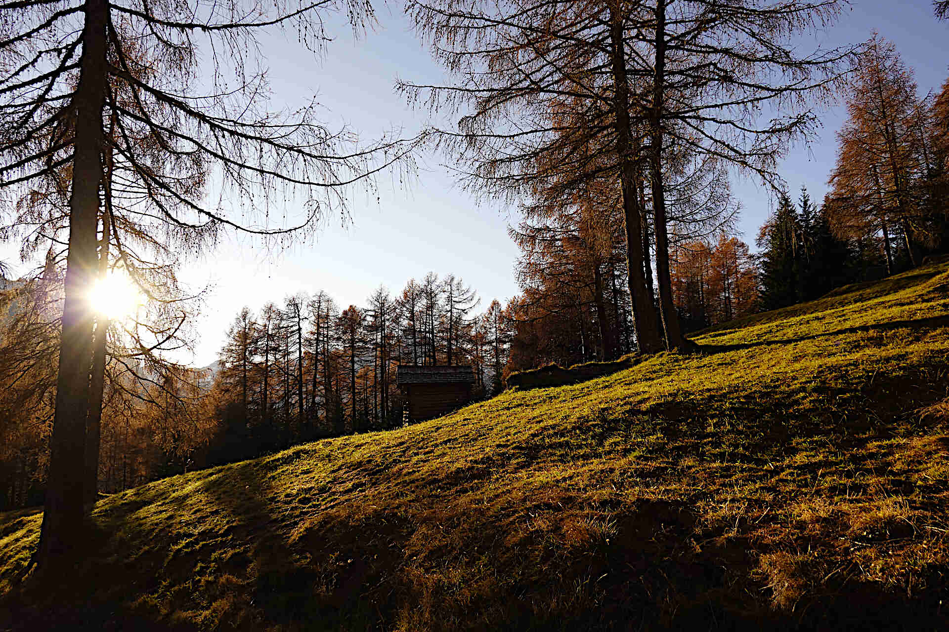 Garni Tschurtschenthaler - Dolomites Region 3 Zinnen - #16 - suedtirol.info