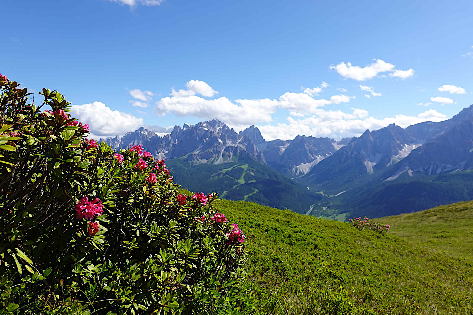 Garni Tschurtschenthaler - Dolomites Region 3 Zinnen - #15 - suedtirol.info