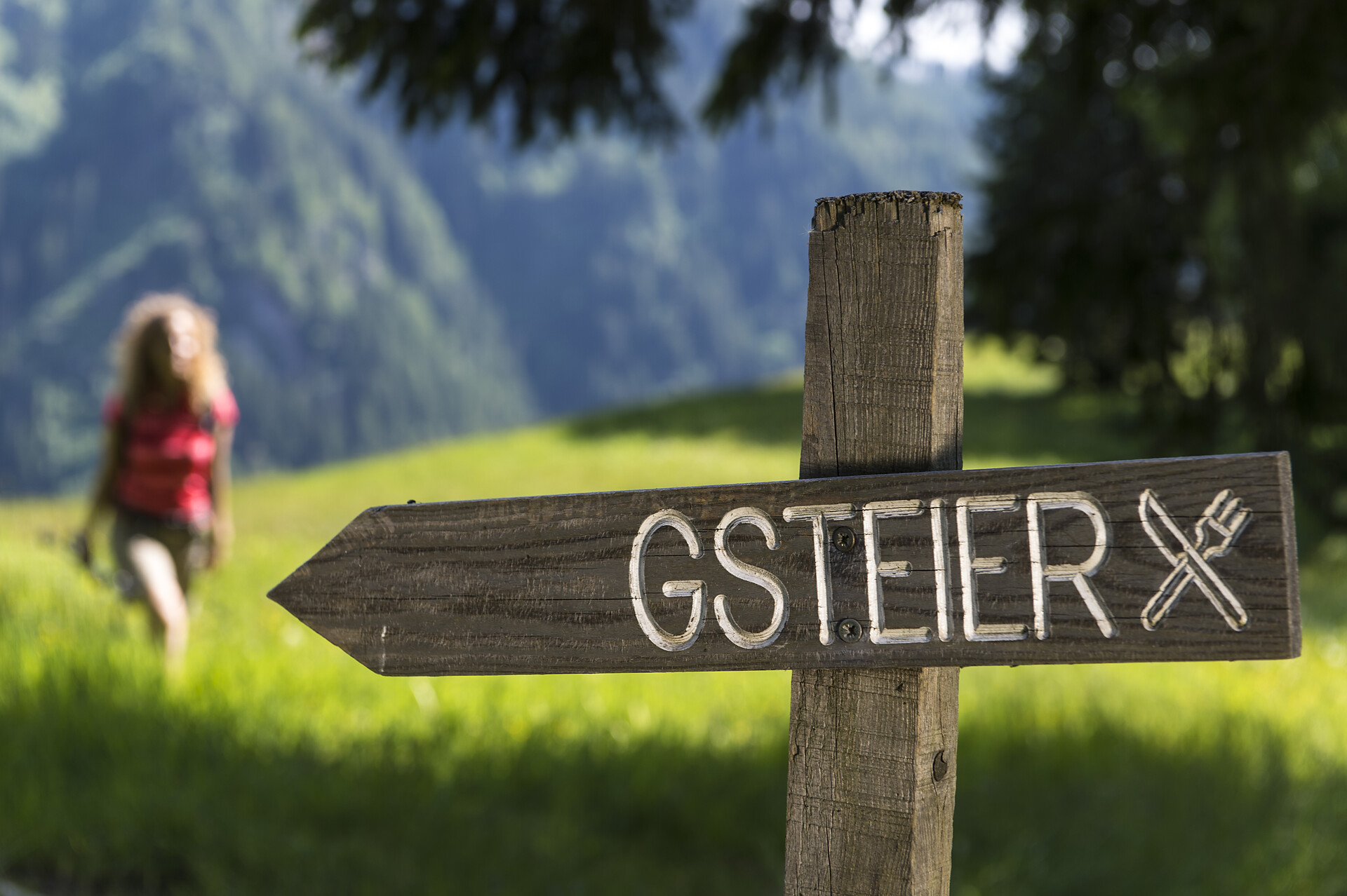Gsteier