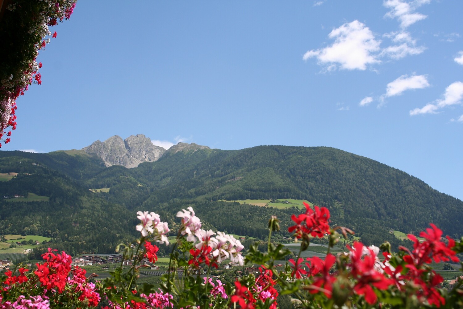 Aussicht