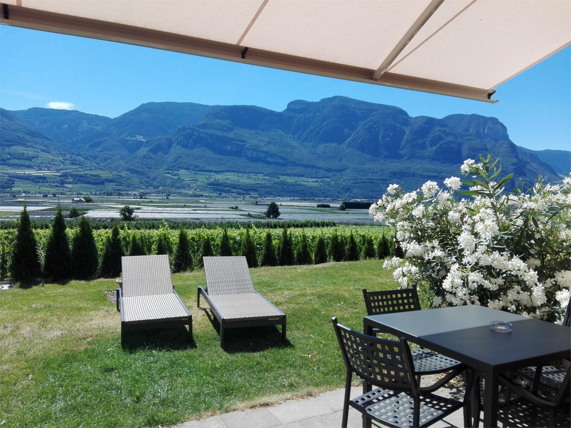 Gutshof Rellich Tramin an der Weinstraße 15 suedtirol.info