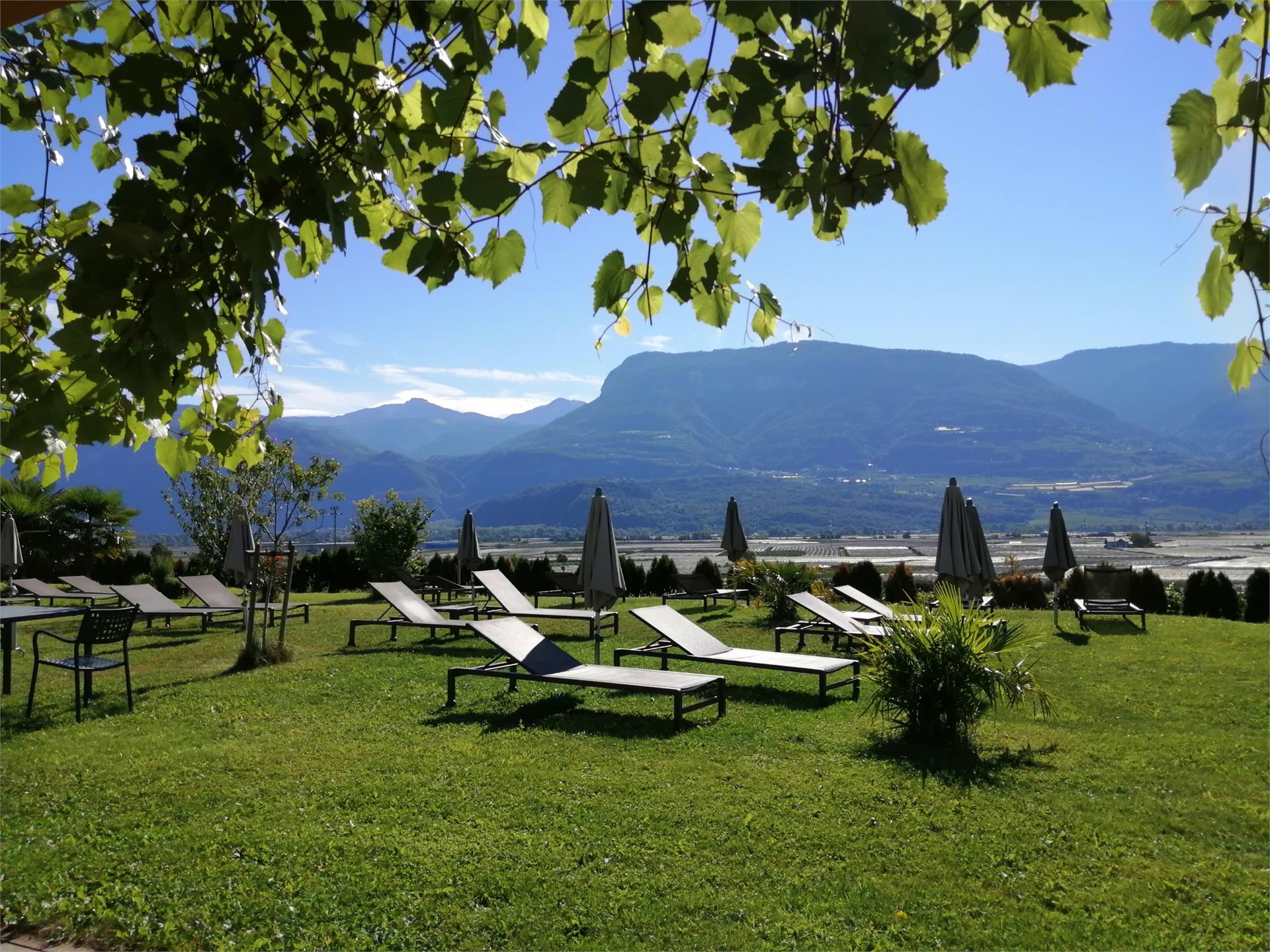 Gutshof Rellich Tramin an der Weinstraße 10 suedtirol.info