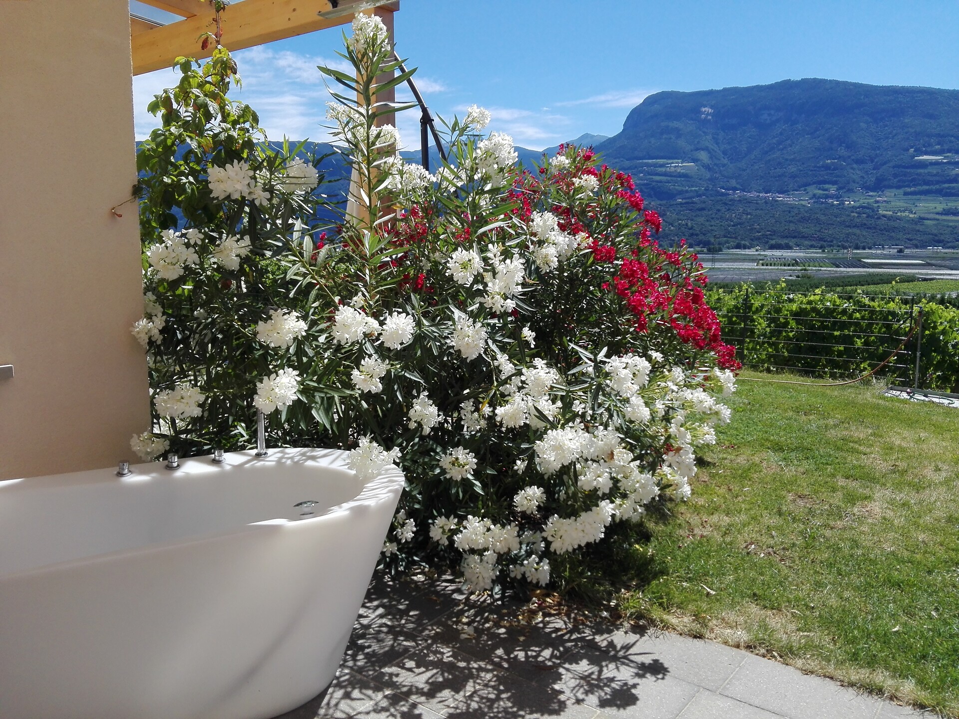 Gutshof Rellich - Südtiroler Weinstraße - #11 - suedtirol.info