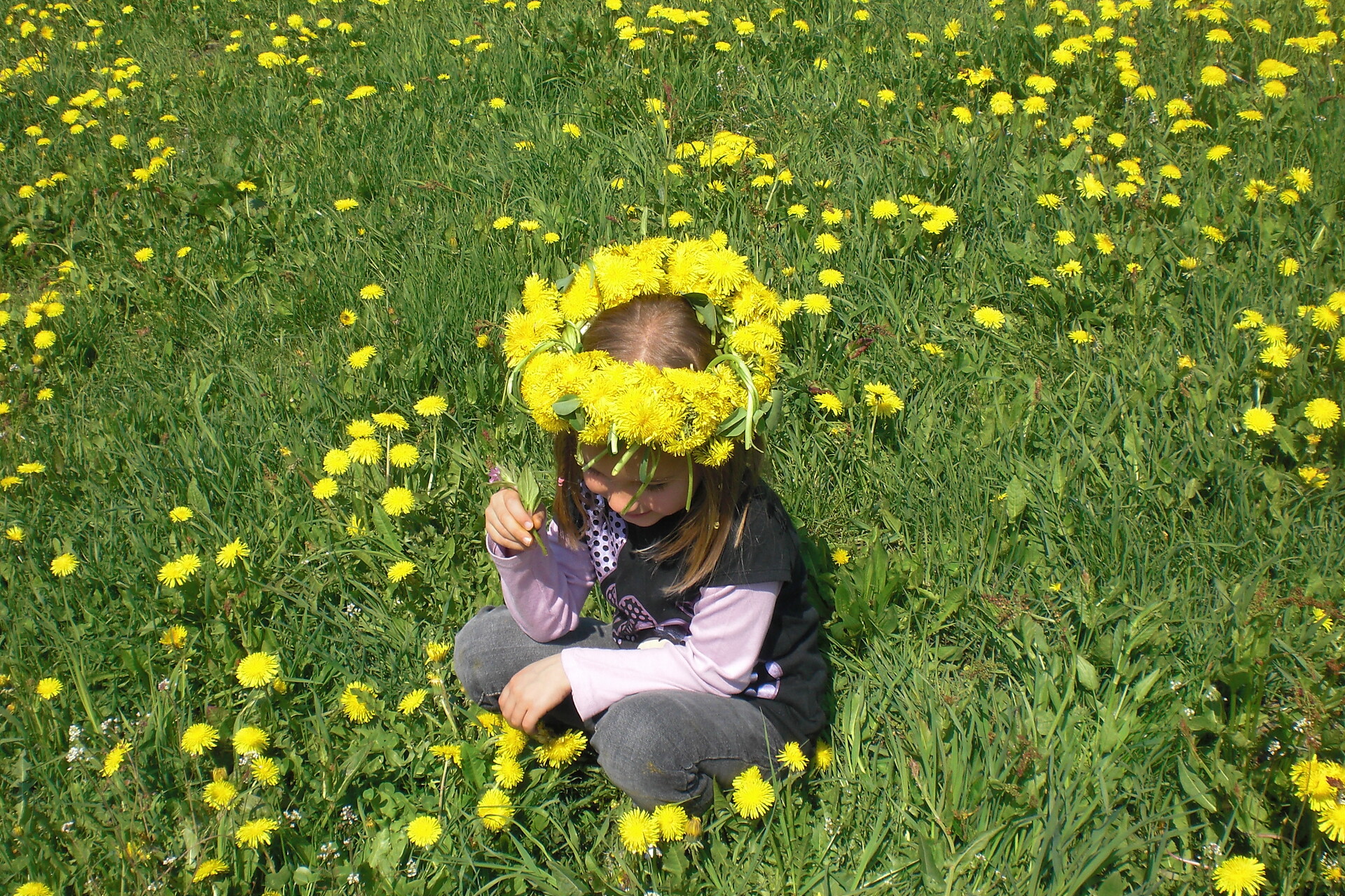 Frühling