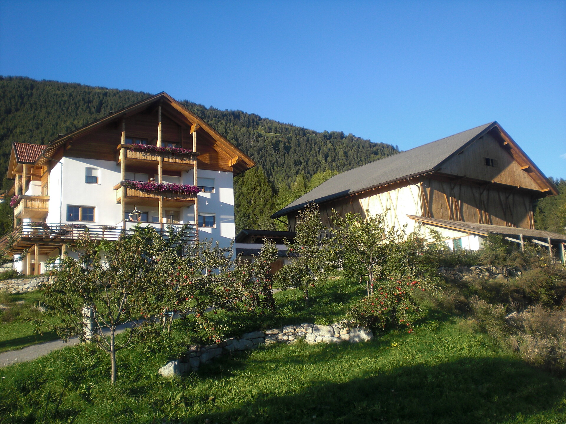 Gasserhof