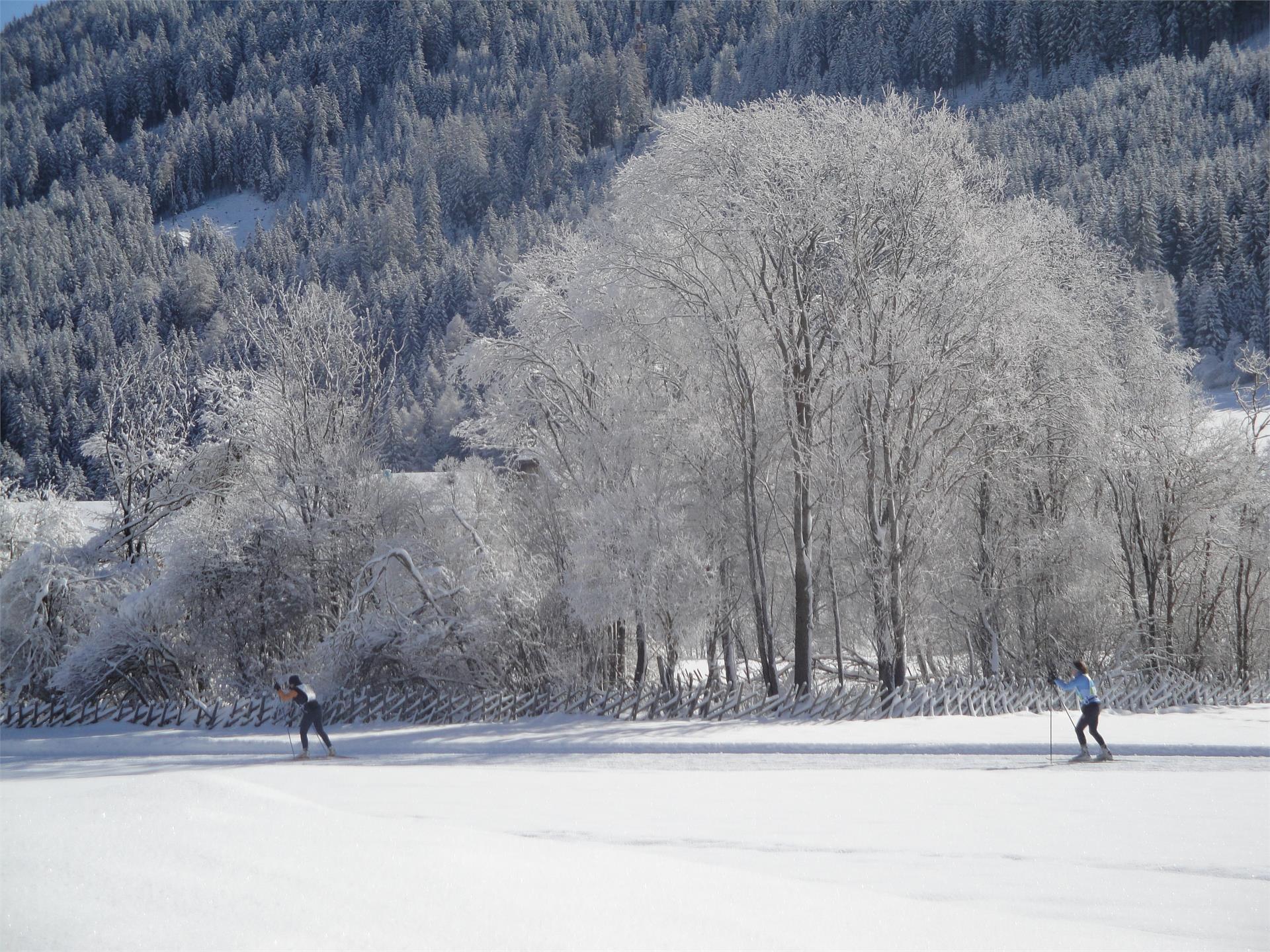Gratterhof- App.Lisa Gsies 25 suedtirol.info