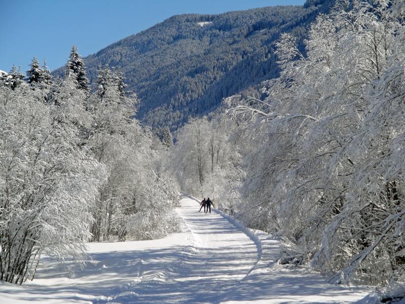 Gratterhof- App.Lisa Gsies 10 suedtirol.info