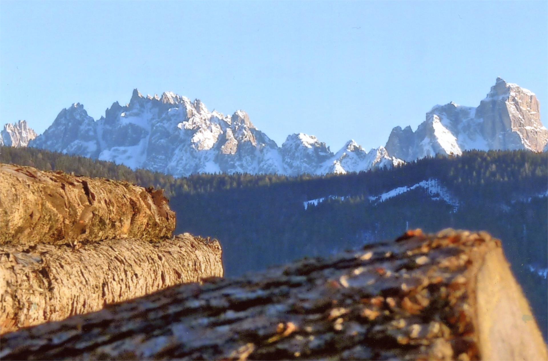 Gratterhof- App.Lisa Gsies 18 suedtirol.info