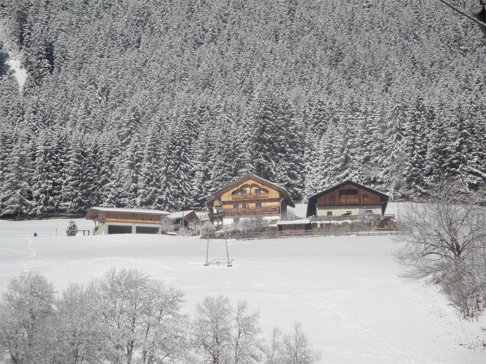 Gratterhof- App.Lisa Gsies 21 suedtirol.info
