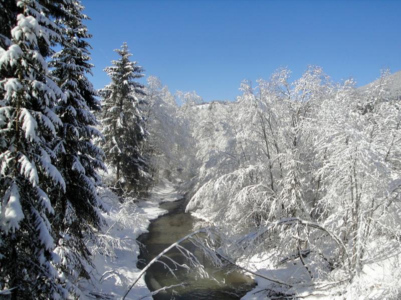 Gratterhof- App.Lisa Gsies 8 suedtirol.info