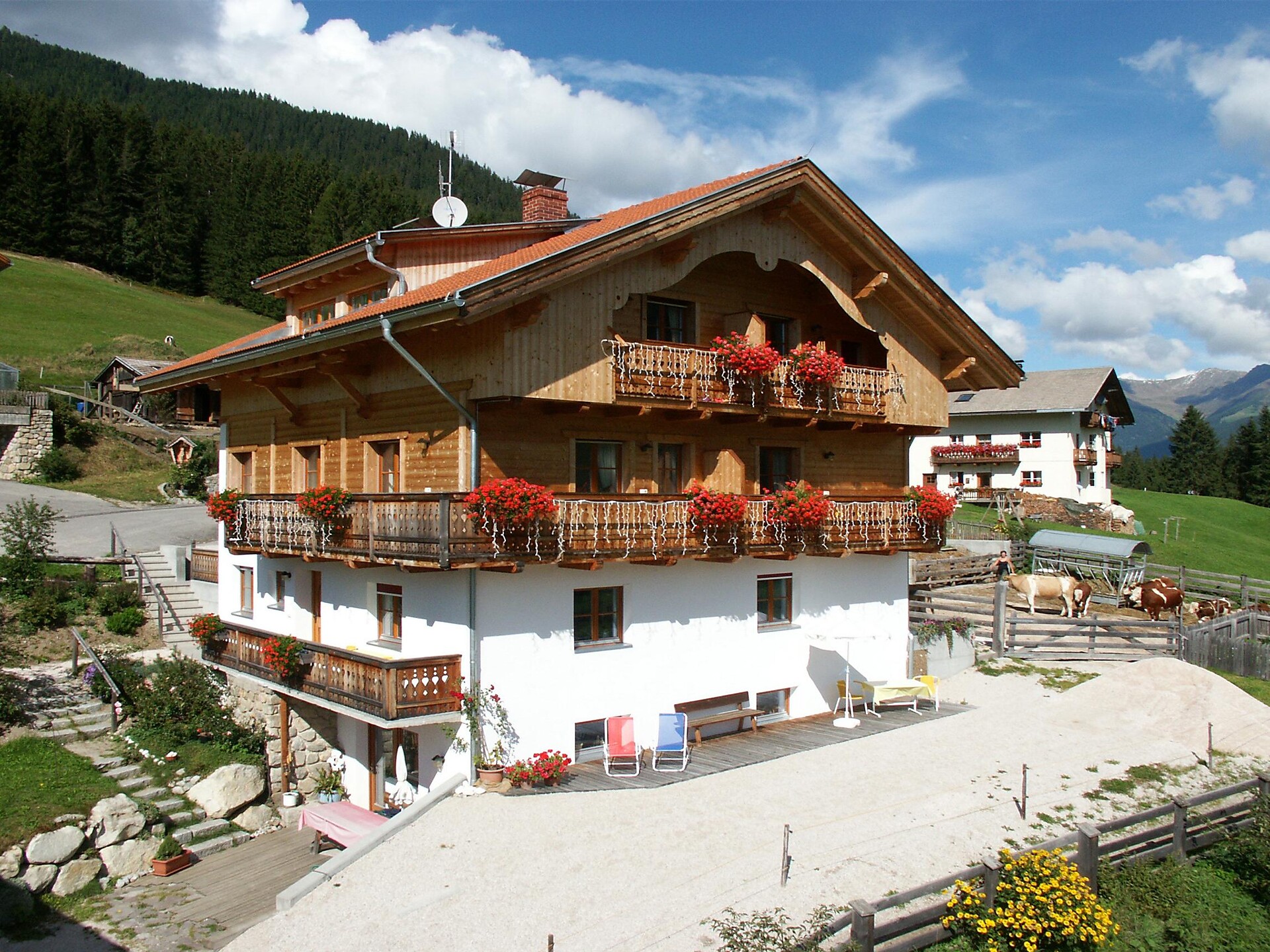 Gratterhof- App.Lisa -  - #1 - suedtirol.info