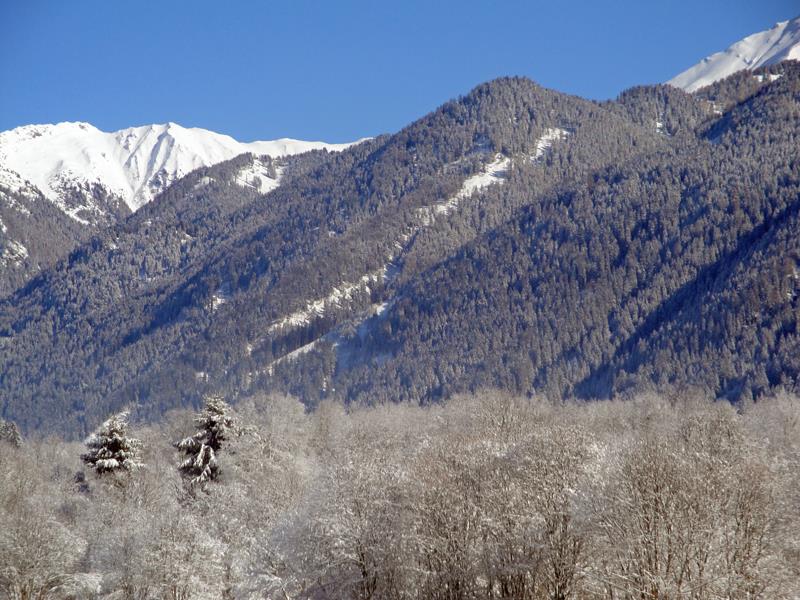 Gratterhof- App.Lisa Gsies 2 suedtirol.info