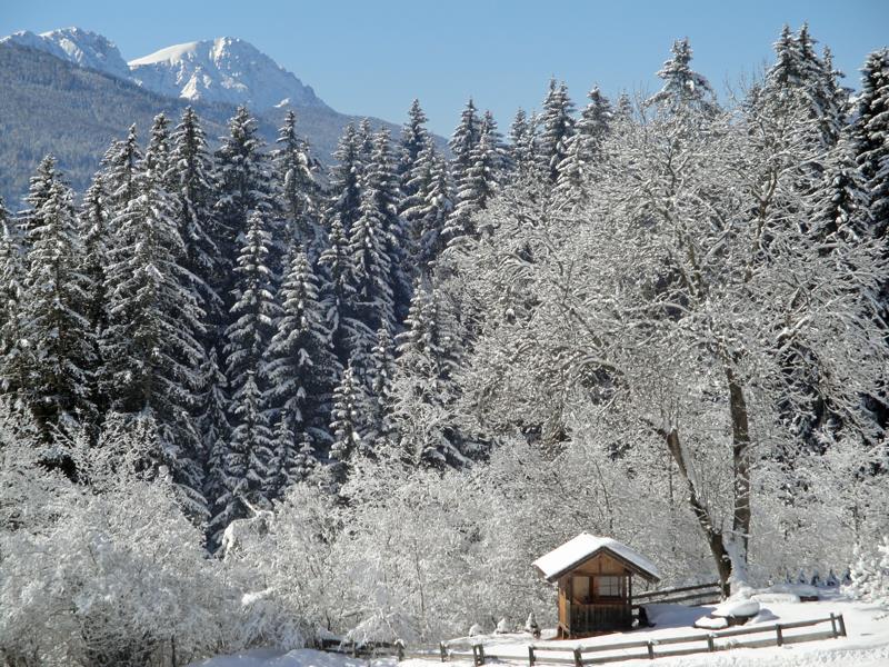Gratterhof- App.Lisa Gsies 16 suedtirol.info