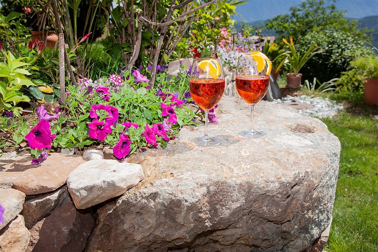 Gartenappartements Die Mühle Caldaro sulla Strada del Vino 7 suedtirol.info