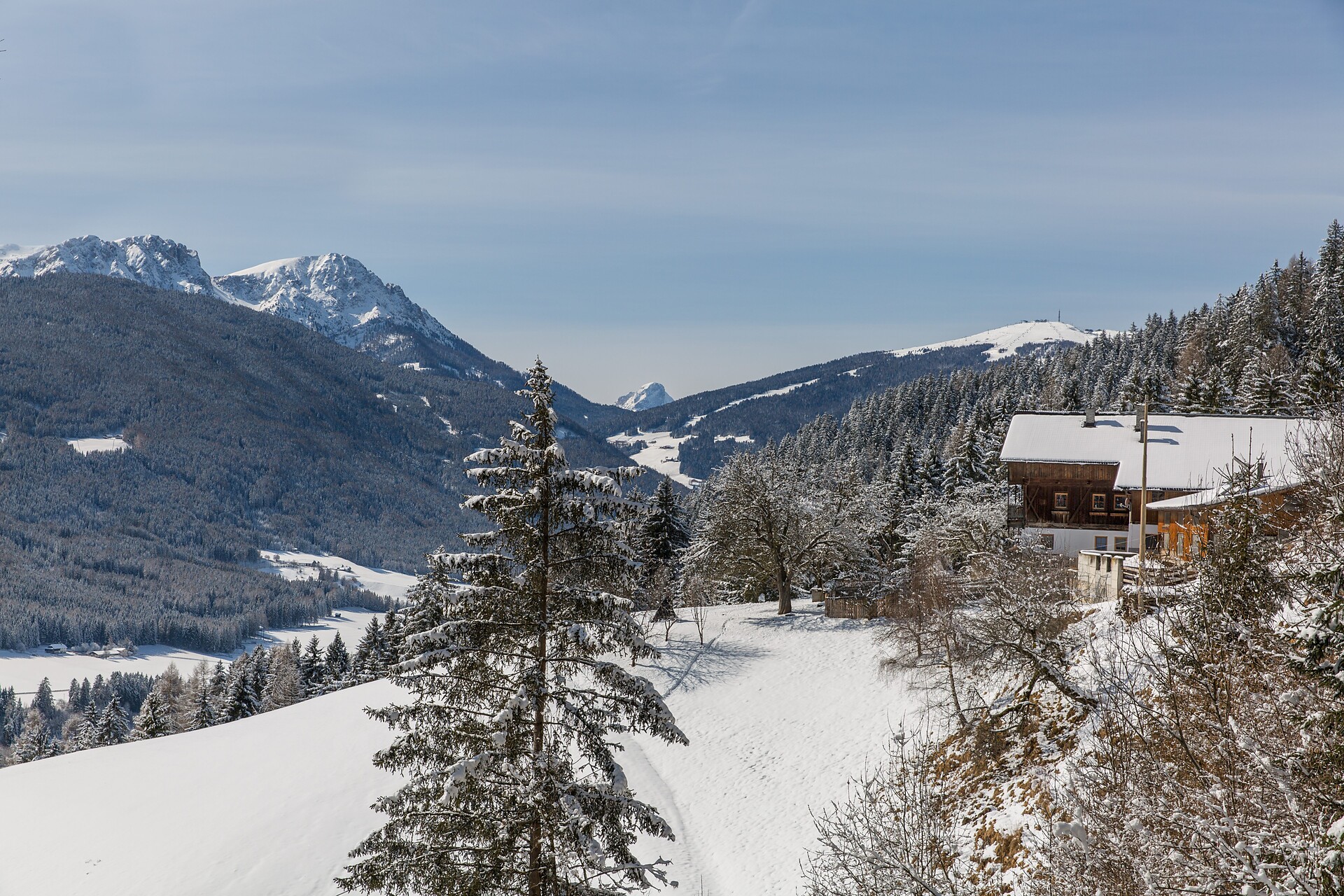 Golserhof
