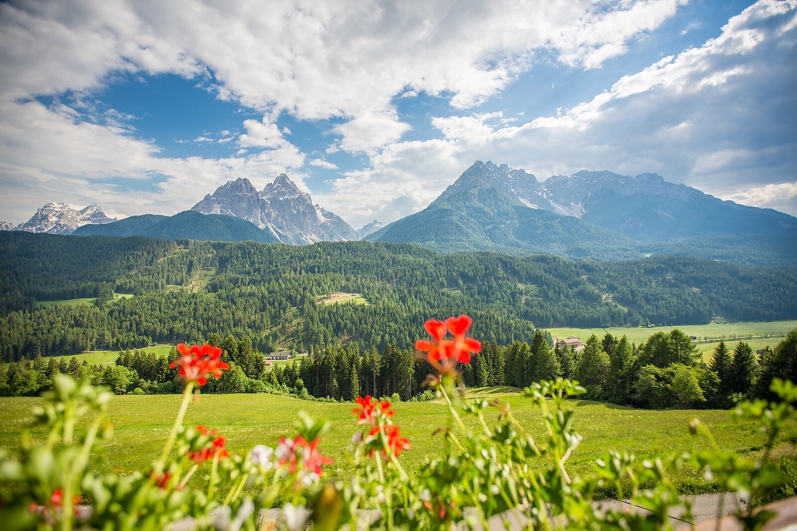 Vista panoramica