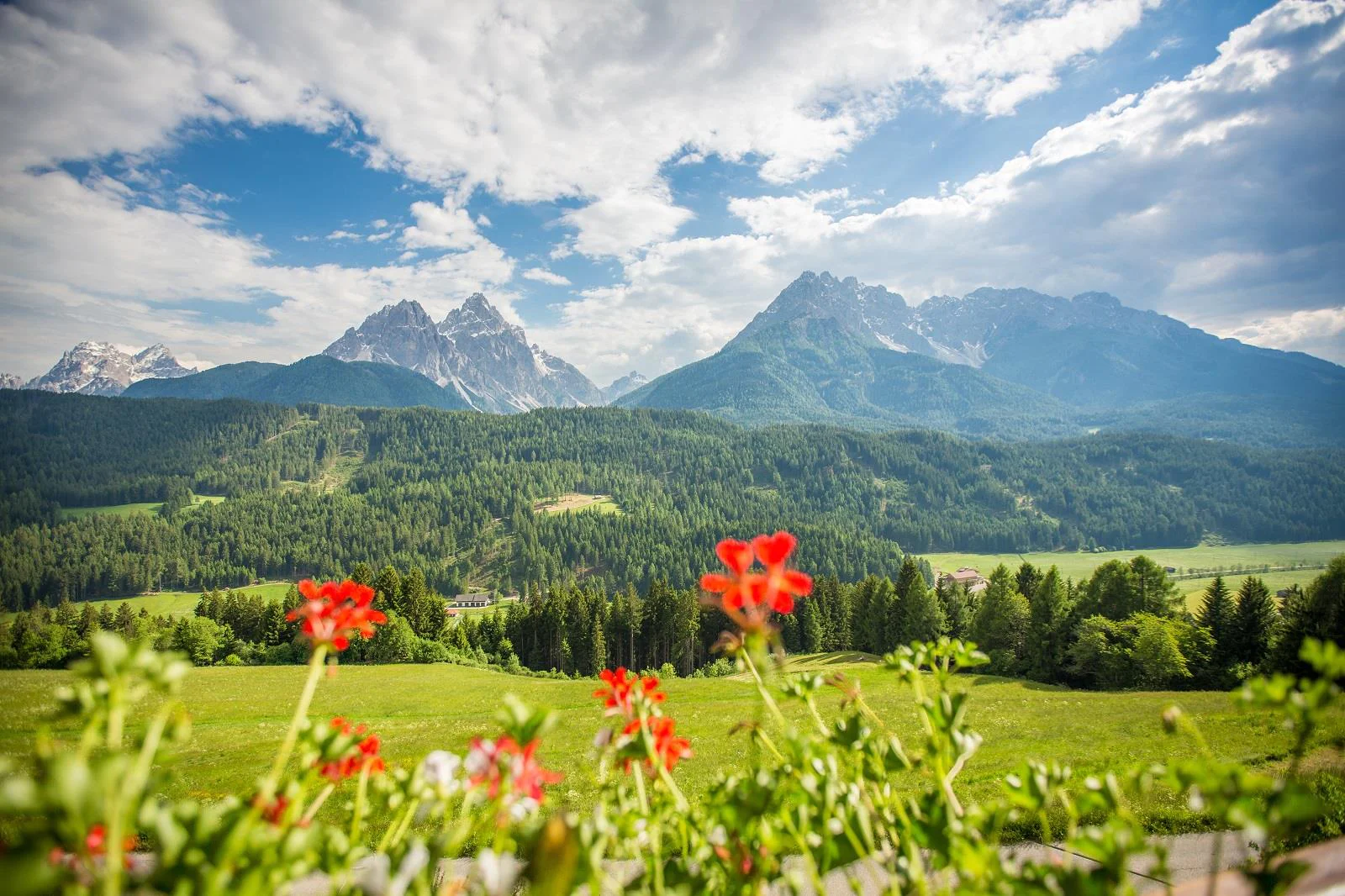 Maso Grossmarer San Candido 4 suedtirol.info