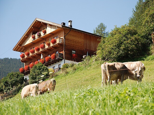 Gadenhof - Dolomitenregion 3 Zinnen - #1 - suedtirol.info