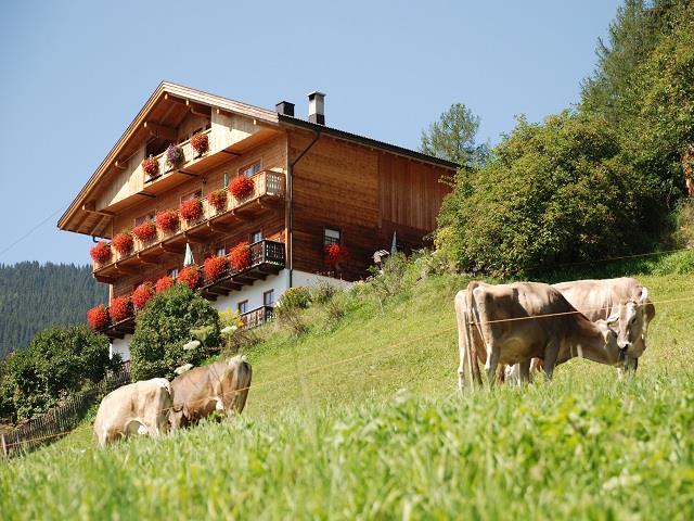 Gadenhof San Candido 1 suedtirol.info