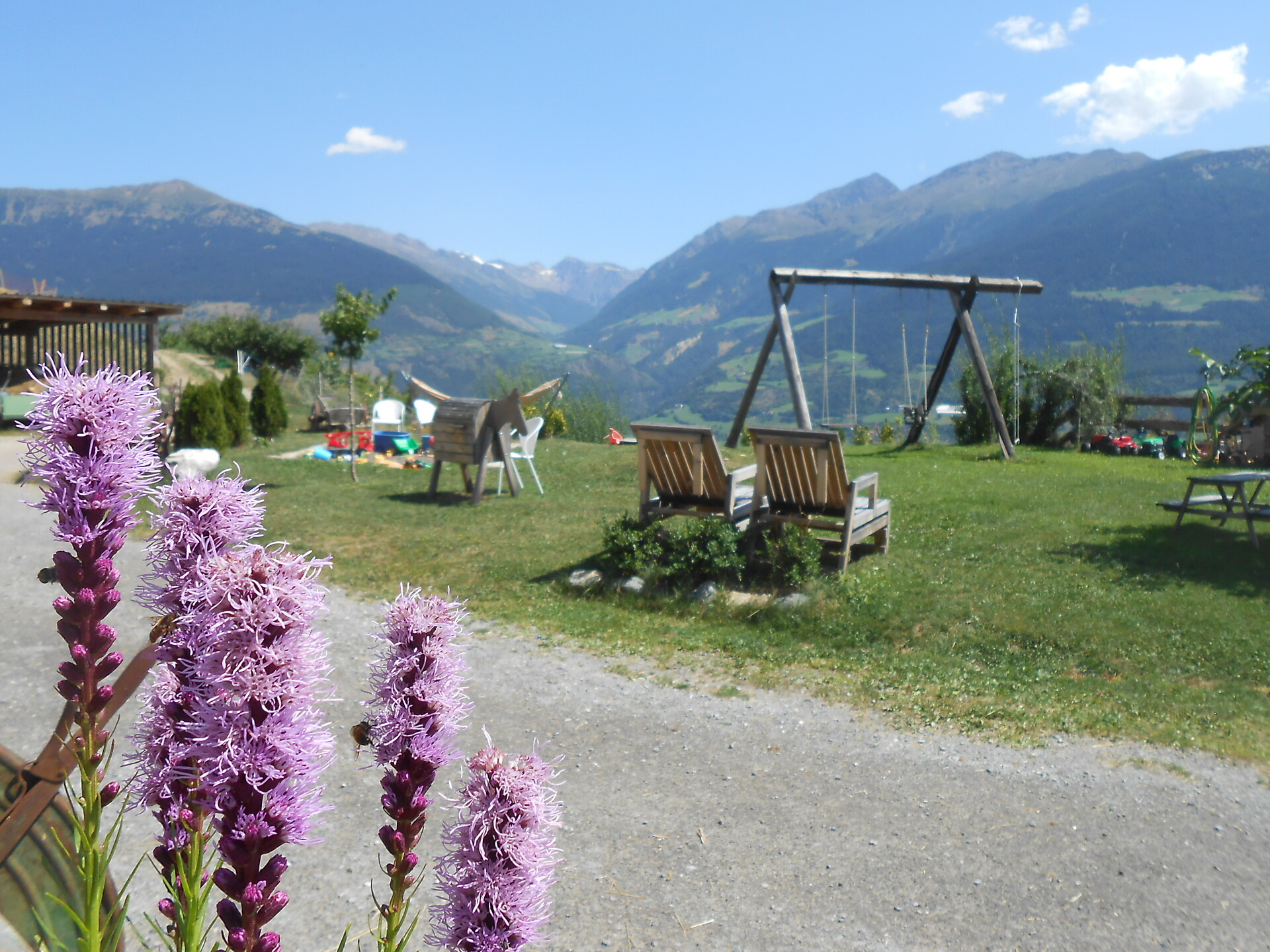 garden