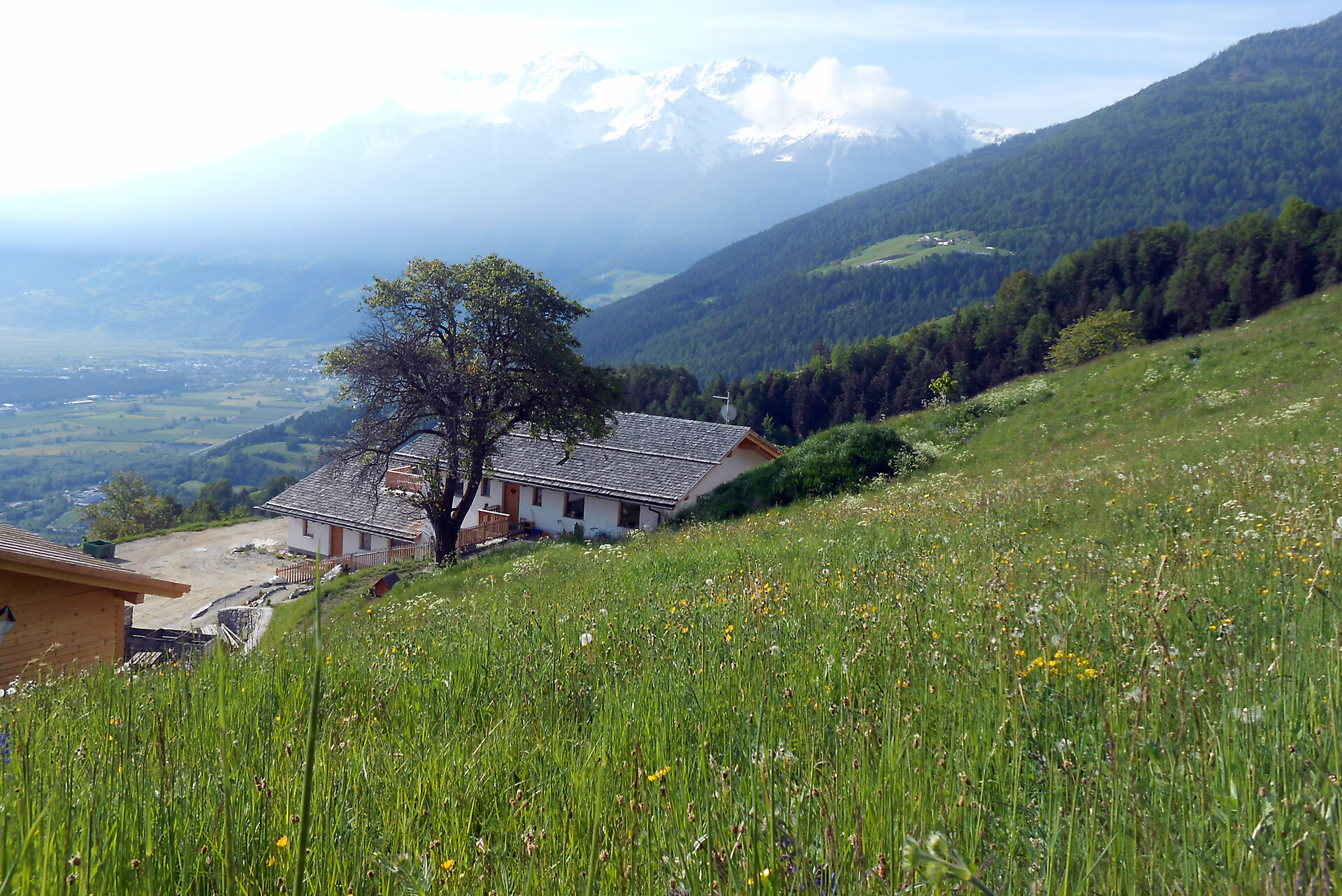 Grushof
