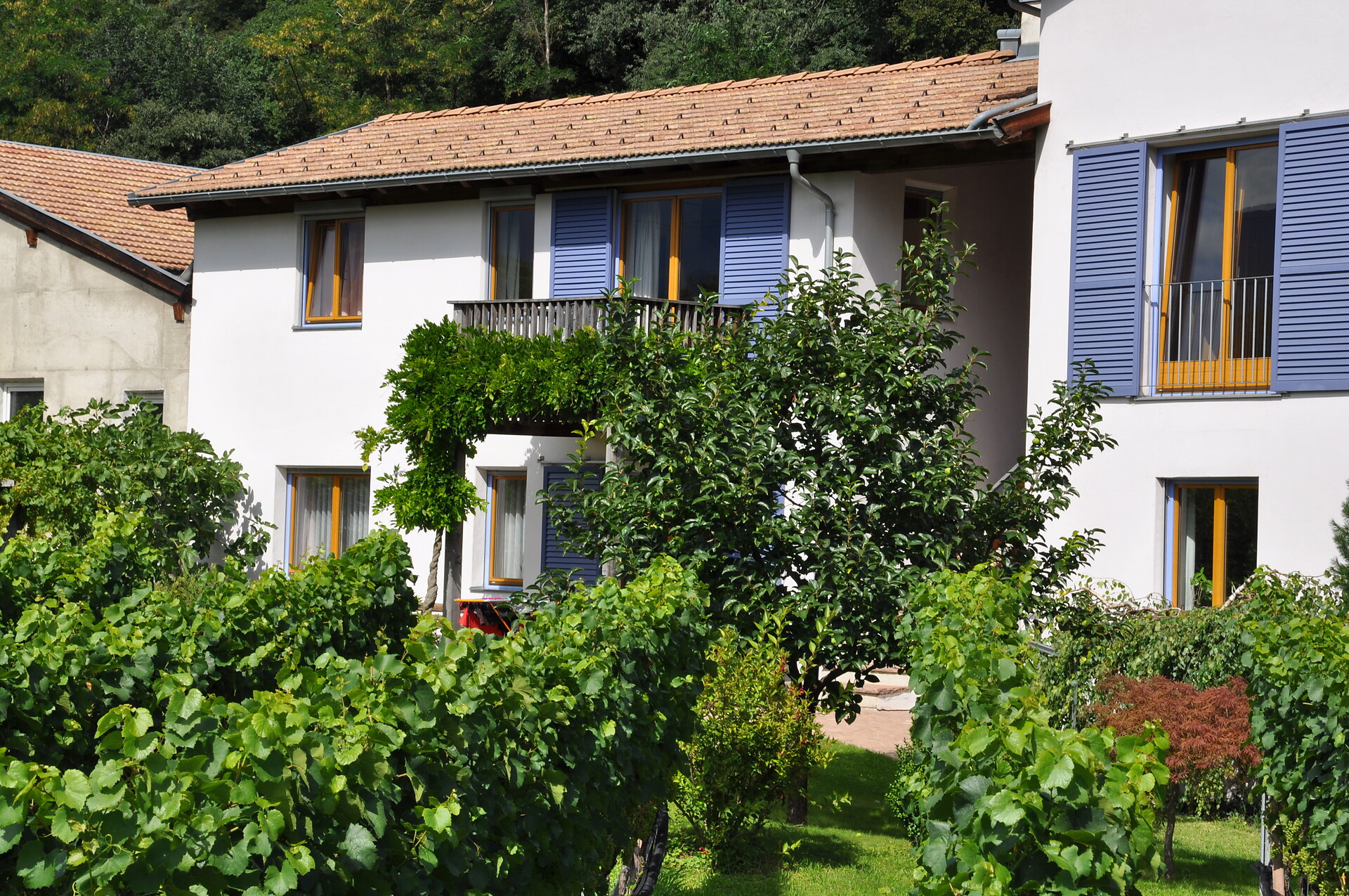 Ganderhof - Alto Adige Wine Road - #4 - suedtirol.info